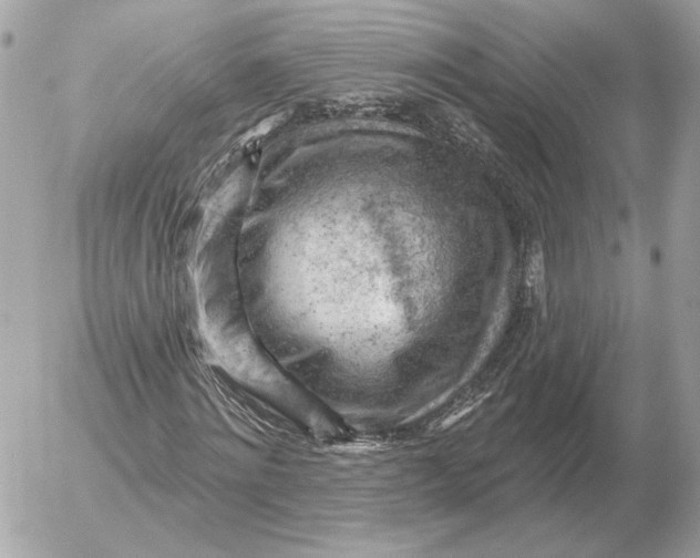 X0000052640868200507221813