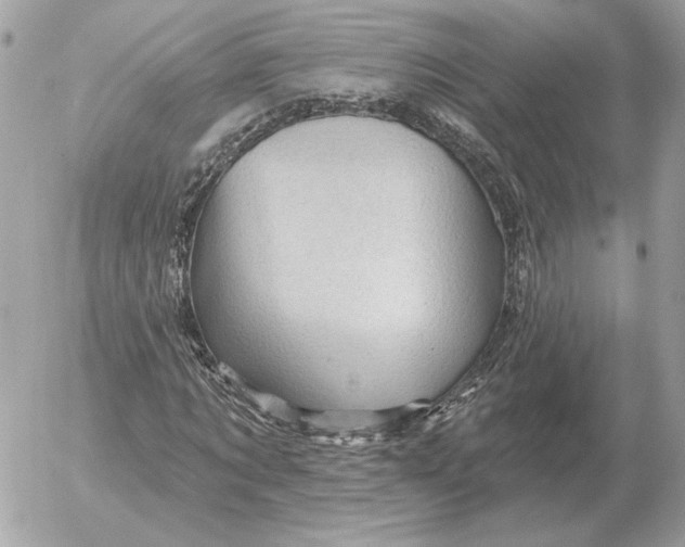 X0000052640869200507221813