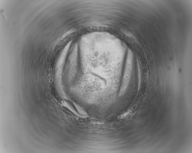 X0000052640870200507221813