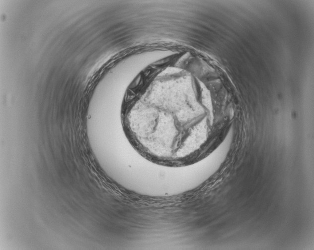 X0000052640871200507221813