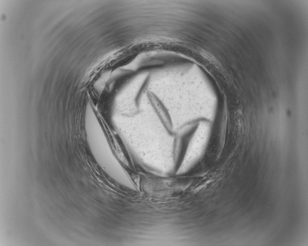 X0000052640872200507221813