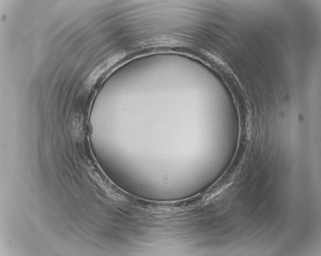 X0000052640873200507221813