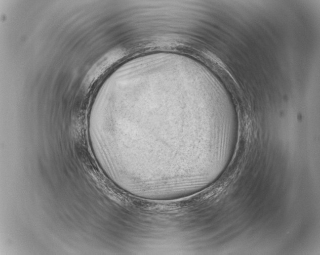 X0000052640874200507221813