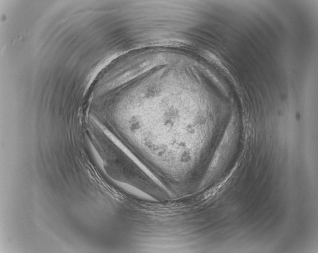 X0000052640875200507221813