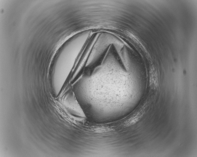 X0000052640876200507221813