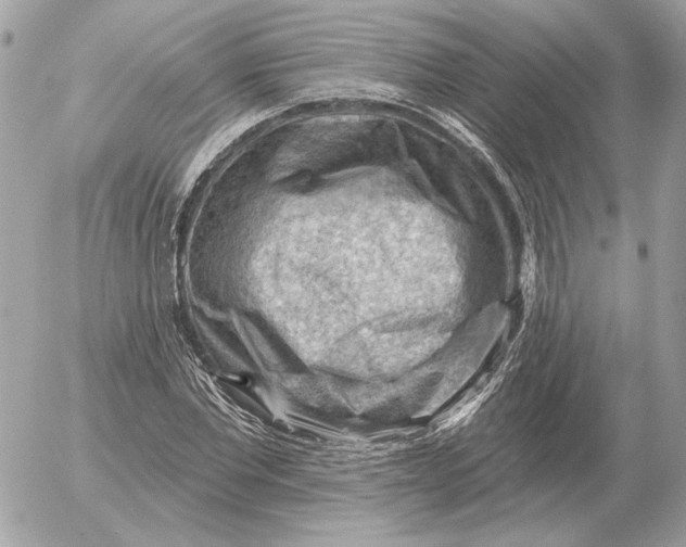 X0000052640877200507221813