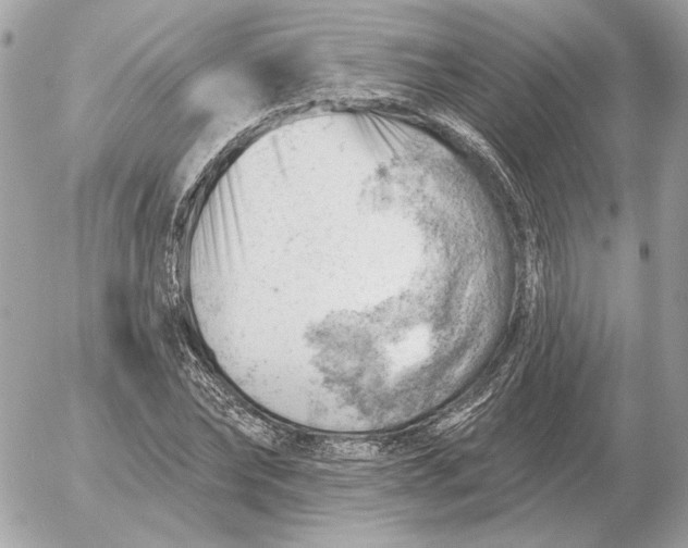 X0000052640878200507221813