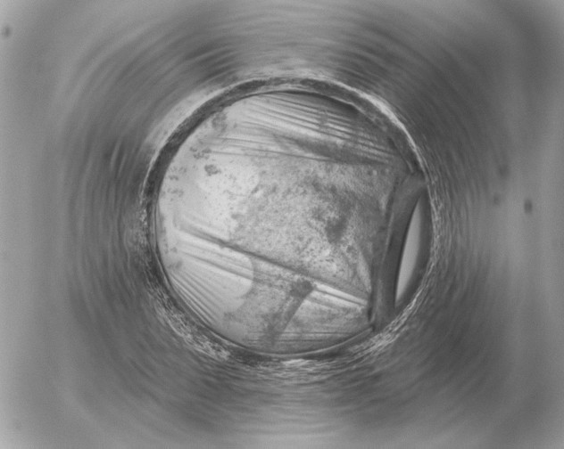 X0000052640879200507221813