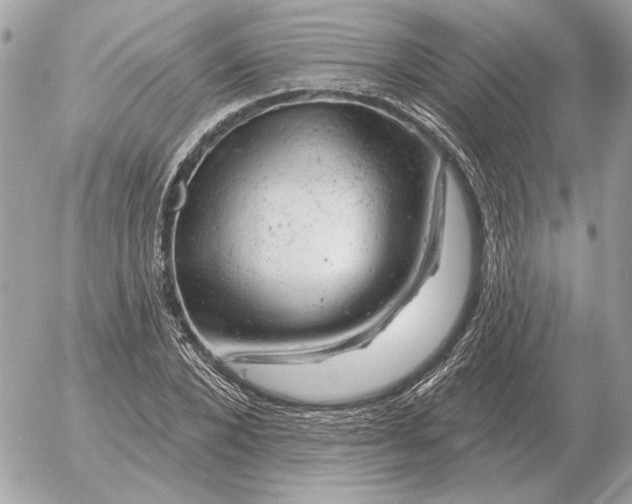 X0000052640880200507221813