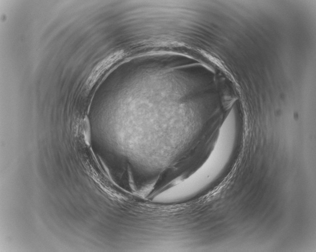 X0000052640881200507221813