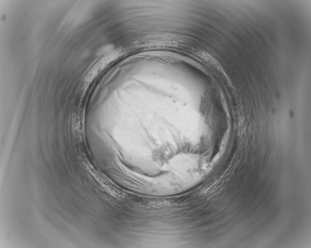 X0000052640882200507221813