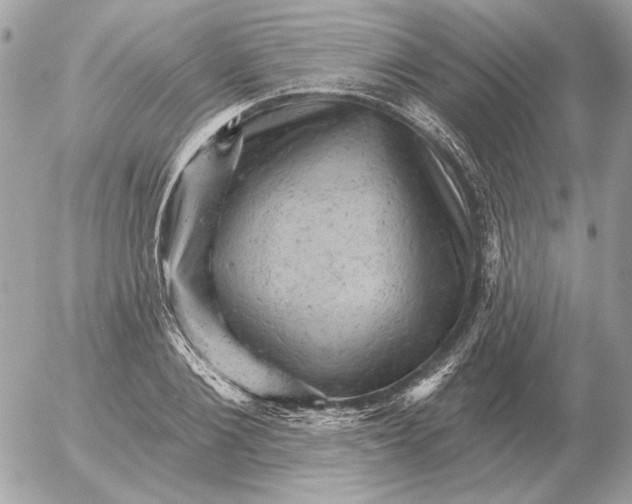 X0000052640884200507221813