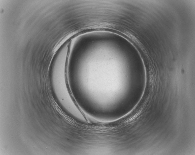 X0000052640885200507221813