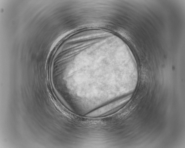 X0000052640886200507221813