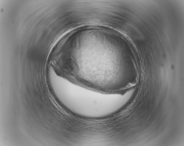 X0000052640887200507221812