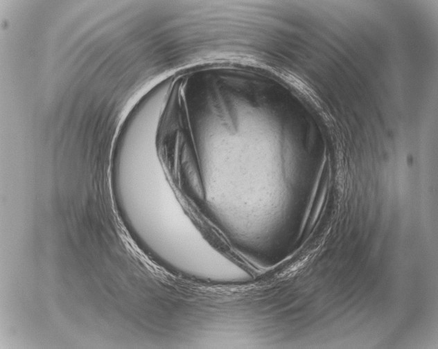 X0000052640888200507221812