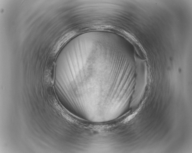 X0000052640889200507221812