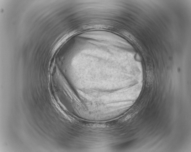 X0000052640890200507221812