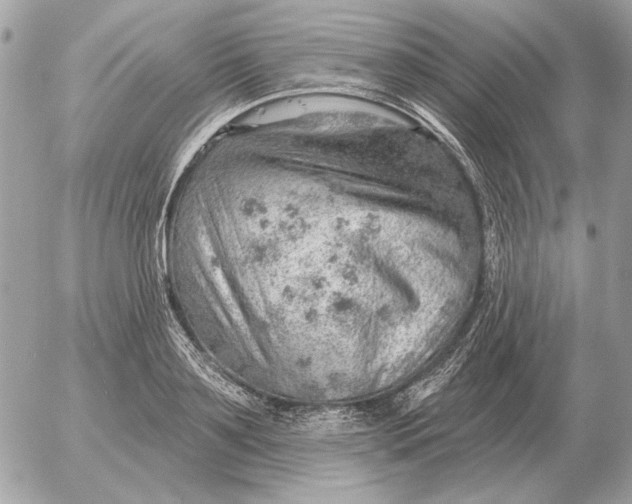 X0000052640891200507221812