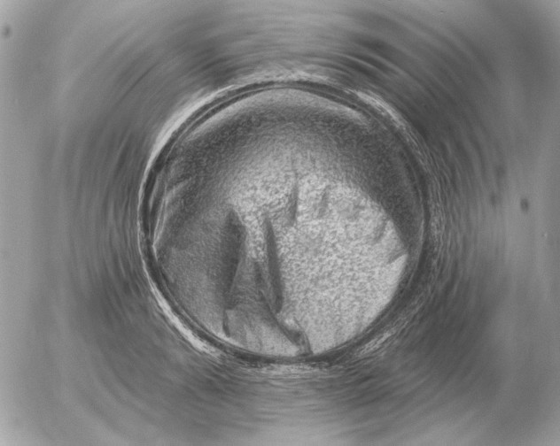 X0000052640894200507221812