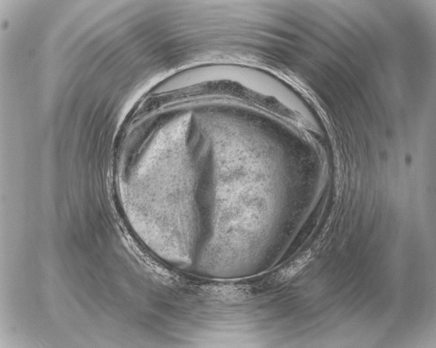 X0000052640896200507221812