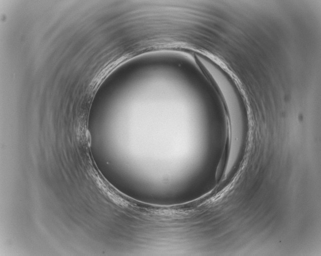 X0000052640897200507221812