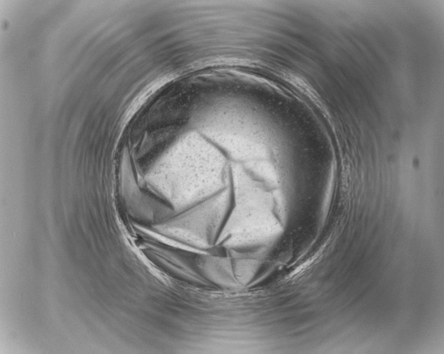 X0000052640898200507221812