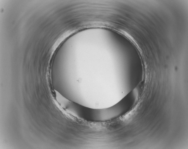 X0000052640901200507221812