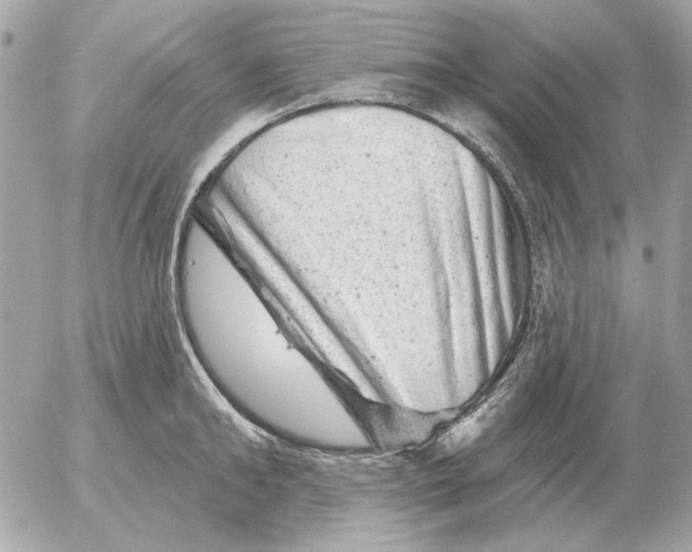 X0000052640902200507221812