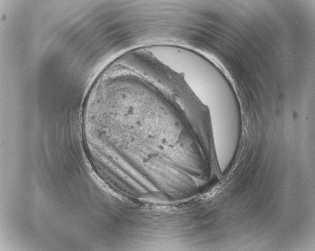 X0000052640903200507221812