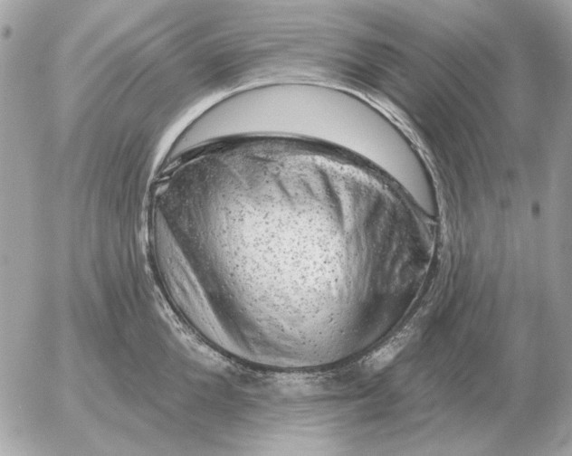 X0000052640904200507221812