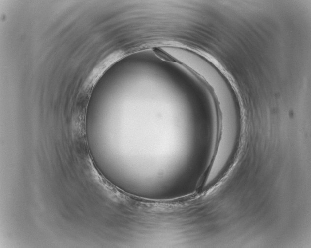 X0000052640905200507221812