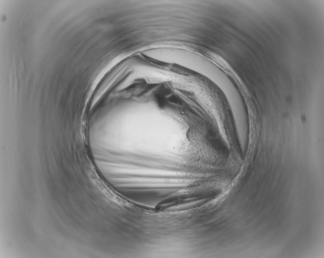 X0000052640908200507221812