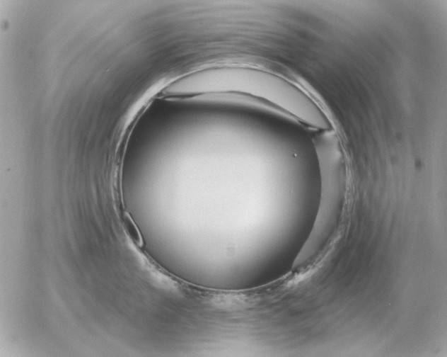 X0000052640909200507221812