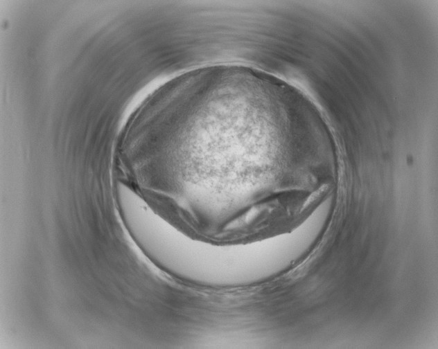 X0000052640910200507221812