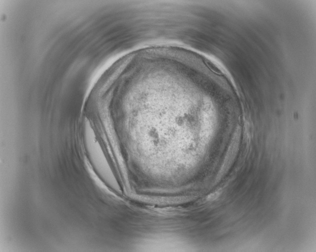 X0000052640911200507221812