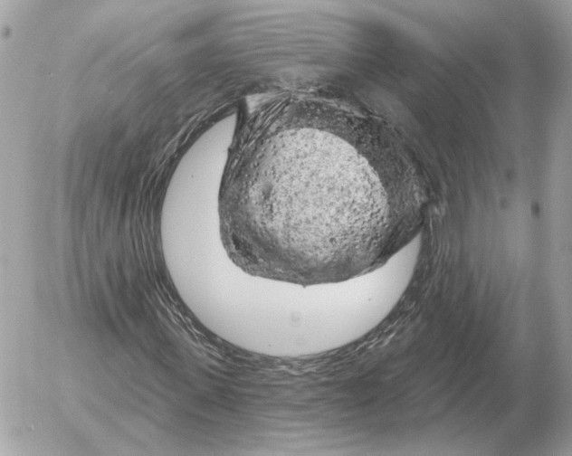 X0000052640915200507221811