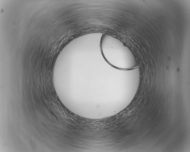 X0000052640916200507221811