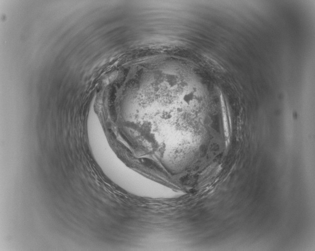 X0000052640917200507221811