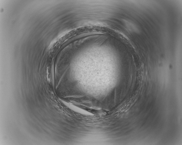 X0000052640919200507221811