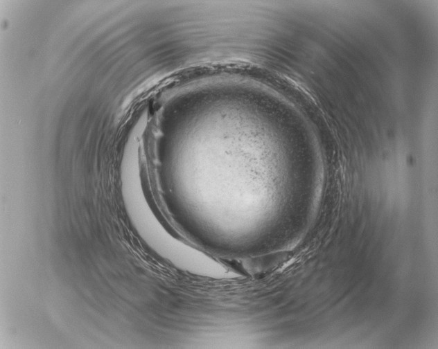 X0000052640920200507221811