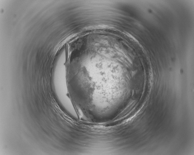 X0000052640921200507221811