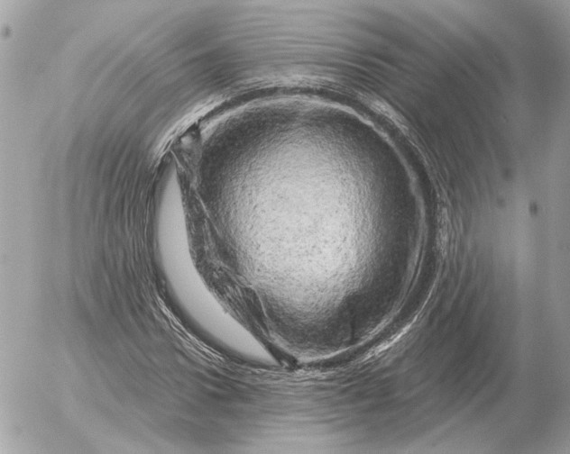 X0000052640922200507221811