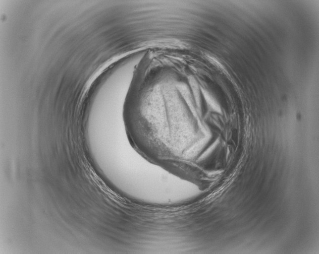 X0000052640923200507221811