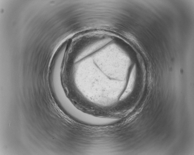 X0000052640924200507221811