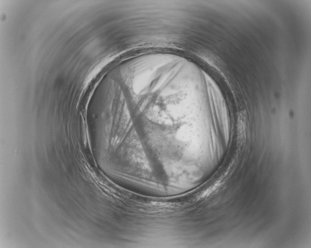 X0000052640925200507221811