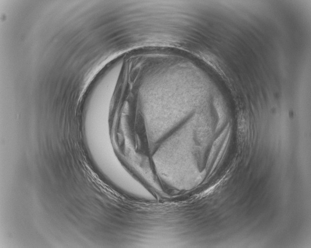 X0000052640926200507221812