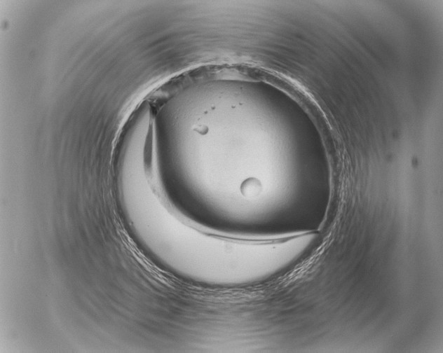 X0000052640927200507221812