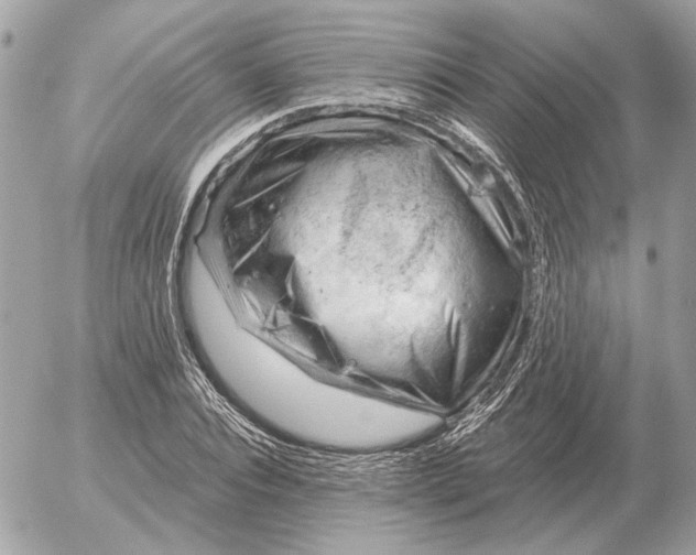 X0000052640928200507221812