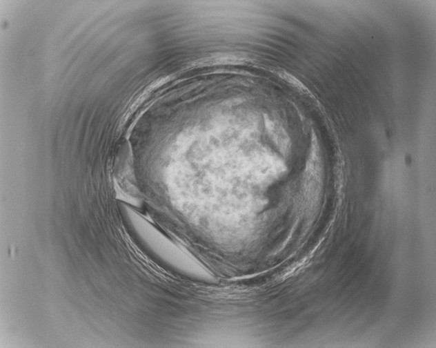 X0000052640929200507221812